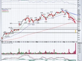 ZS Stock: Why It Tanked Despite 'Beating' Estimates